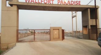 WALLFORT PARADISE